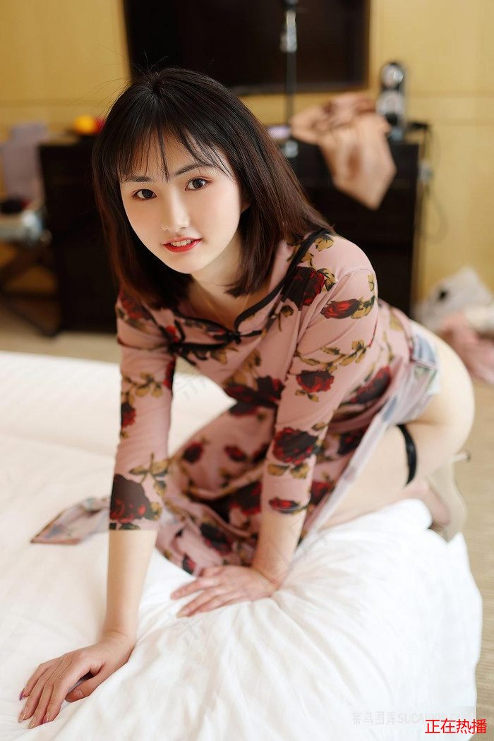 少女哔哩哔哩高清在线观看